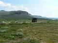 Kilpis 2006 044