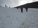 IMG_1937