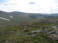 Hirvaspt
