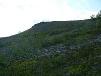 Jyrknne