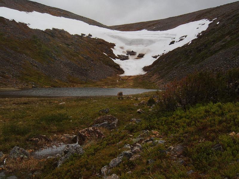 IMAG0122.JPG - Paratiisikurun pohjukka.