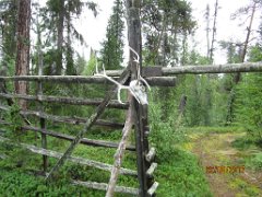 Peuraselän portinpieli. A reindeer skull wished us safe hiking.
