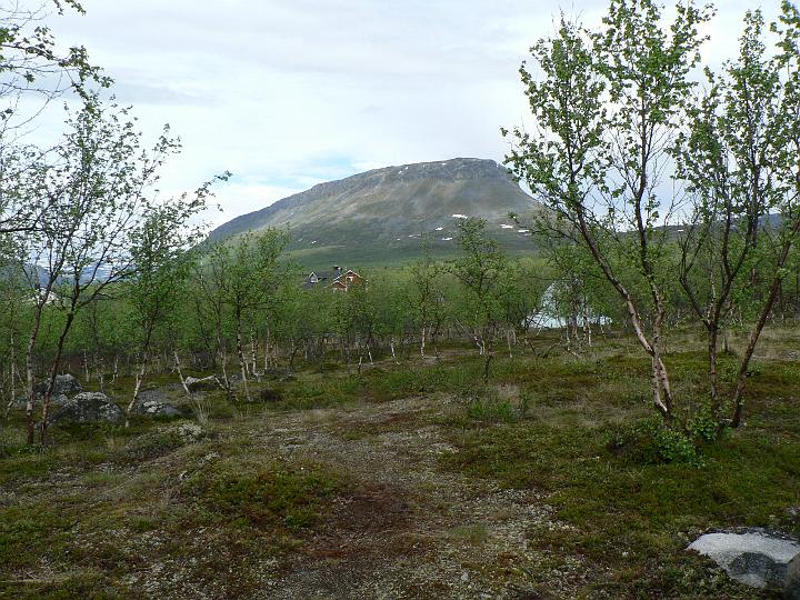 P1030096.JPG - Saana kuvattuna metsähallituksen luontotuvan nurkalta.